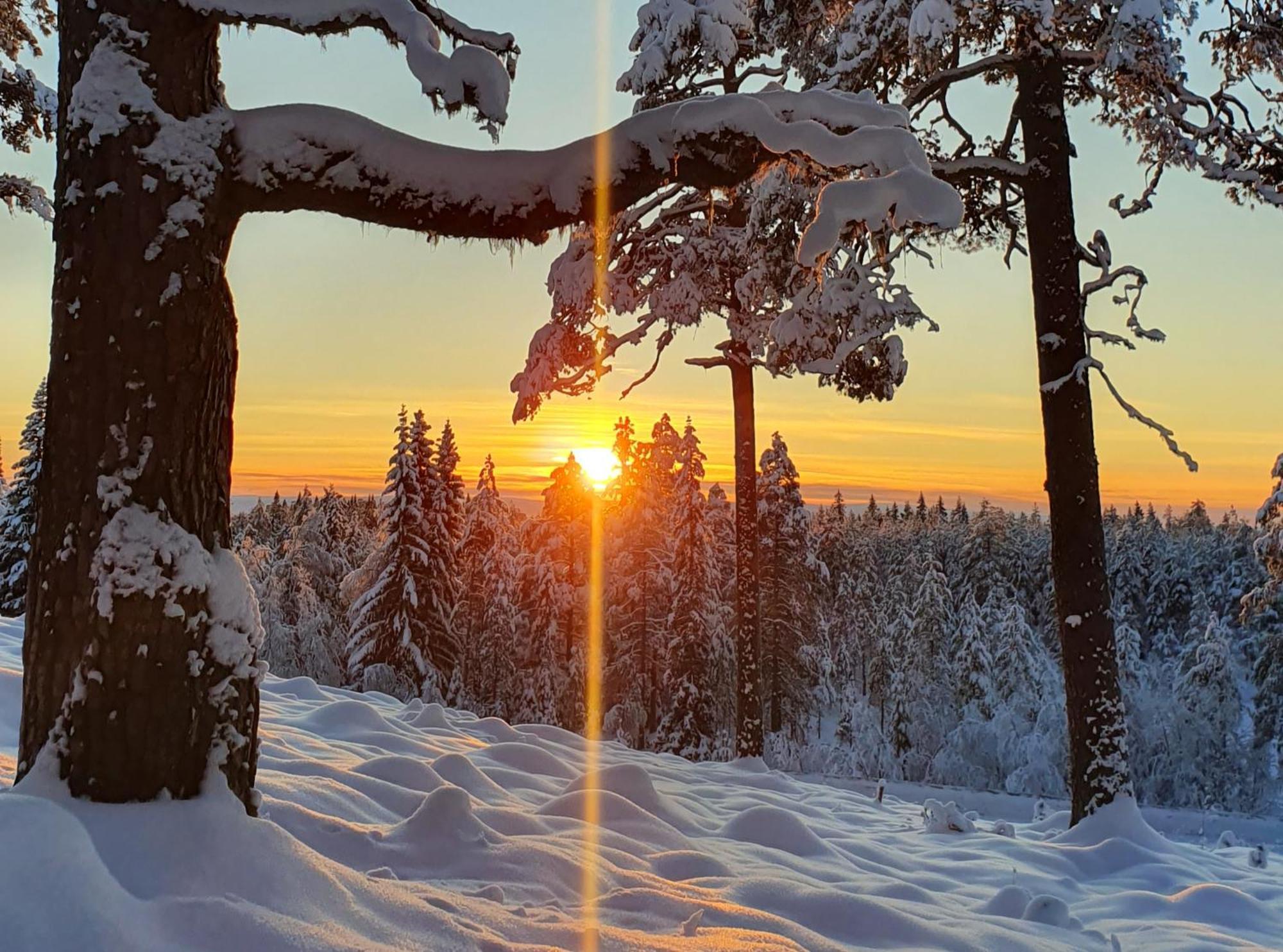 Stationshuset Dalarna Apartments Sörsjön المظهر الخارجي الصورة