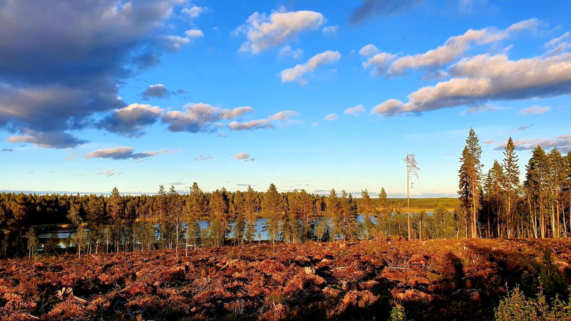 Stationshuset Dalarna Apartments Sörsjön المظهر الخارجي الصورة